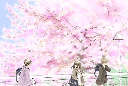 蜜芽跳tv转接口点击进入网页